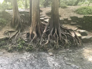 pic