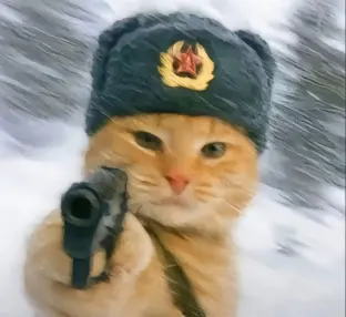 pic