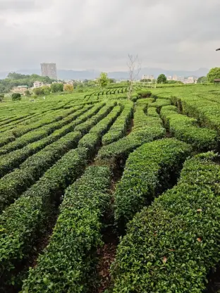 pic