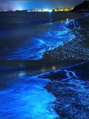 pic