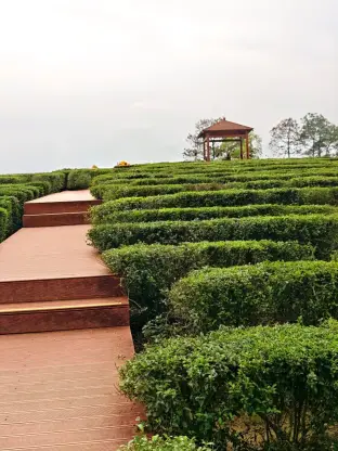 pic