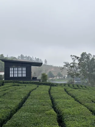 pic