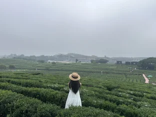 pic