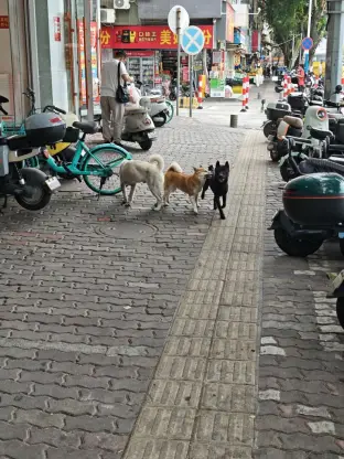 pic