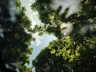 pic