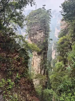 pic