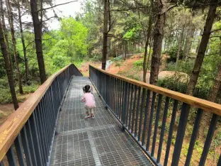pic