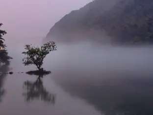 pic