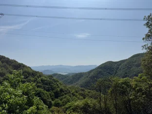 pic