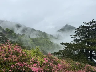 pic
