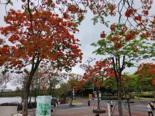 pic
