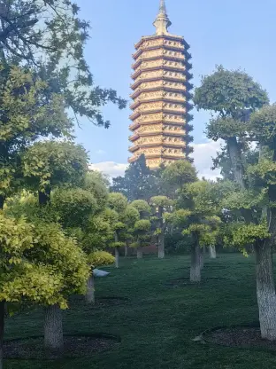 pic
