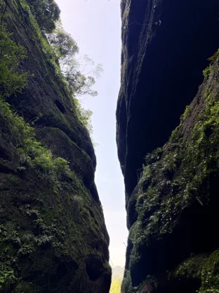 pic