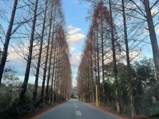 pic