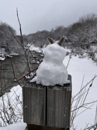 pic
