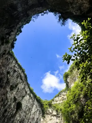 pic