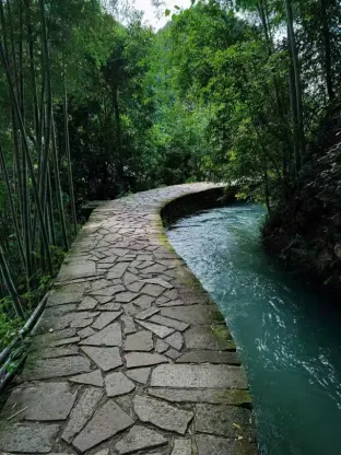 pic