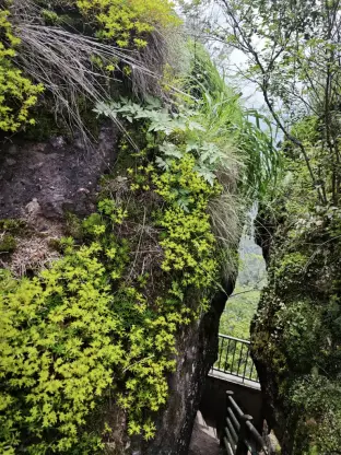pic