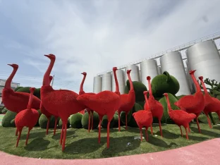 pic