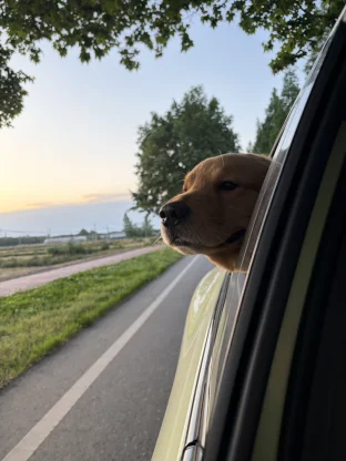 pic