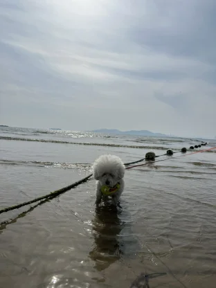pic