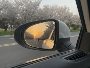 pic