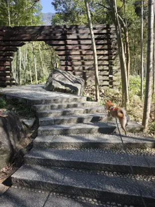 pic