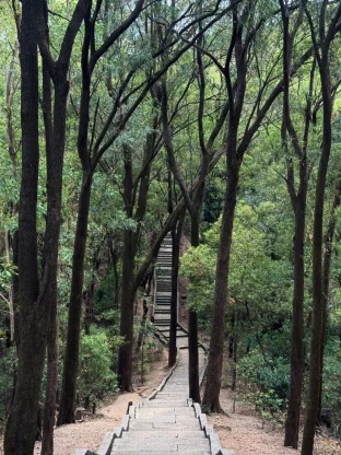 pic