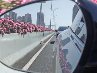 pic