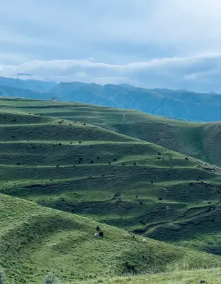 pic