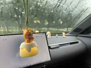 pic