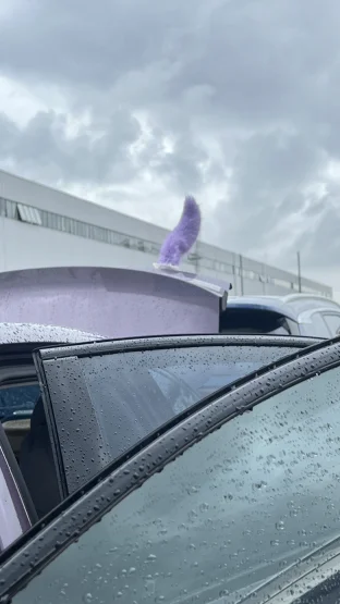 pic