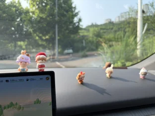 pic