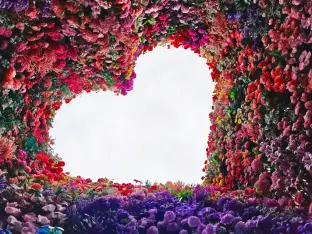 pic