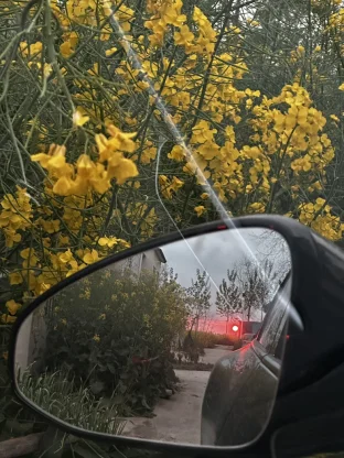 pic