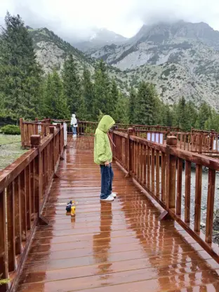 pic