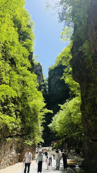 pic