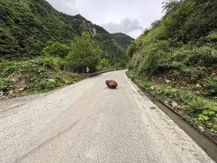 pic