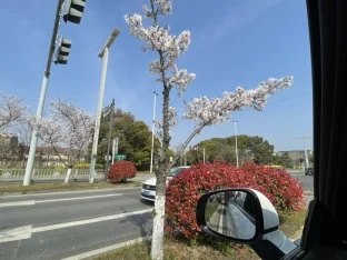 pic