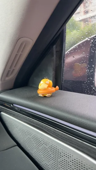 pic