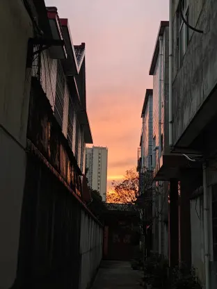 pic