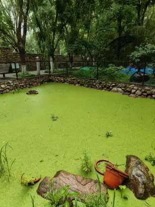 pic