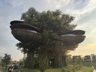 pic