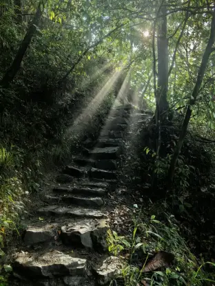 pic