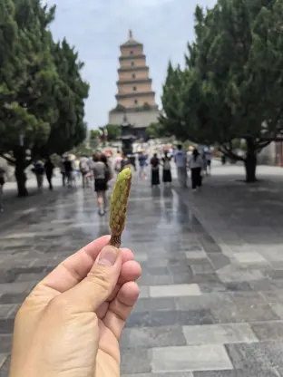 pic