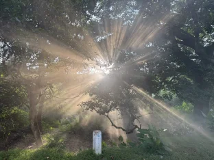 pic
