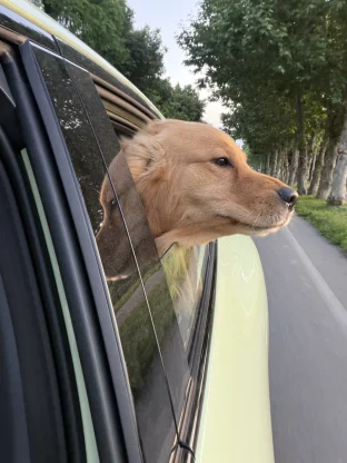 pic