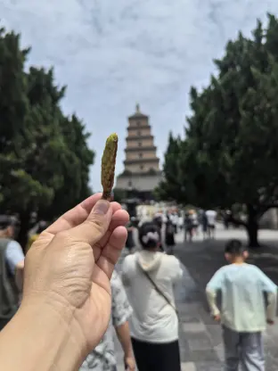 pic