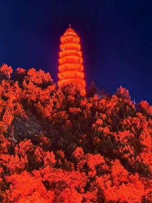 pic