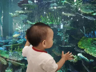 pic